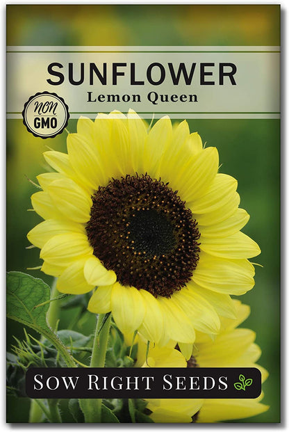 - Sunflower Seed Collection for Planting - 6 Varieties of Sunflowers - Seeds to Attract Pollinators - Non-Gmo Heirloom Seeds with Instructions to Plant & Grow - Makes a Great Gift