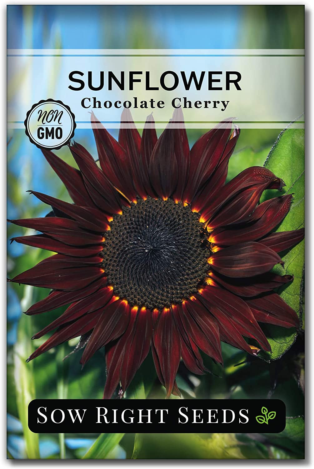 - Sunflower Seed Collection for Planting - 6 Varieties of Sunflowers - Seeds to Attract Pollinators - Non-Gmo Heirloom Seeds with Instructions to Plant & Grow - Makes a Great Gift