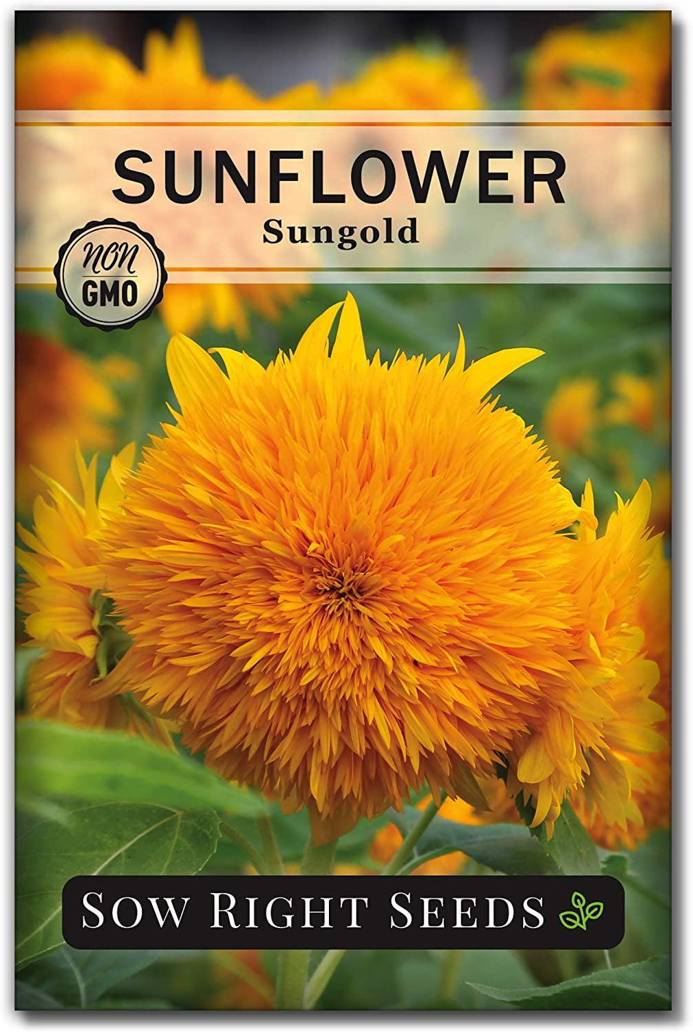 - Sunflower Seed Collection for Planting - 6 Varieties of Sunflowers - Seeds to Attract Pollinators - Non-Gmo Heirloom Seeds with Instructions to Plant & Grow - Makes a Great Gift